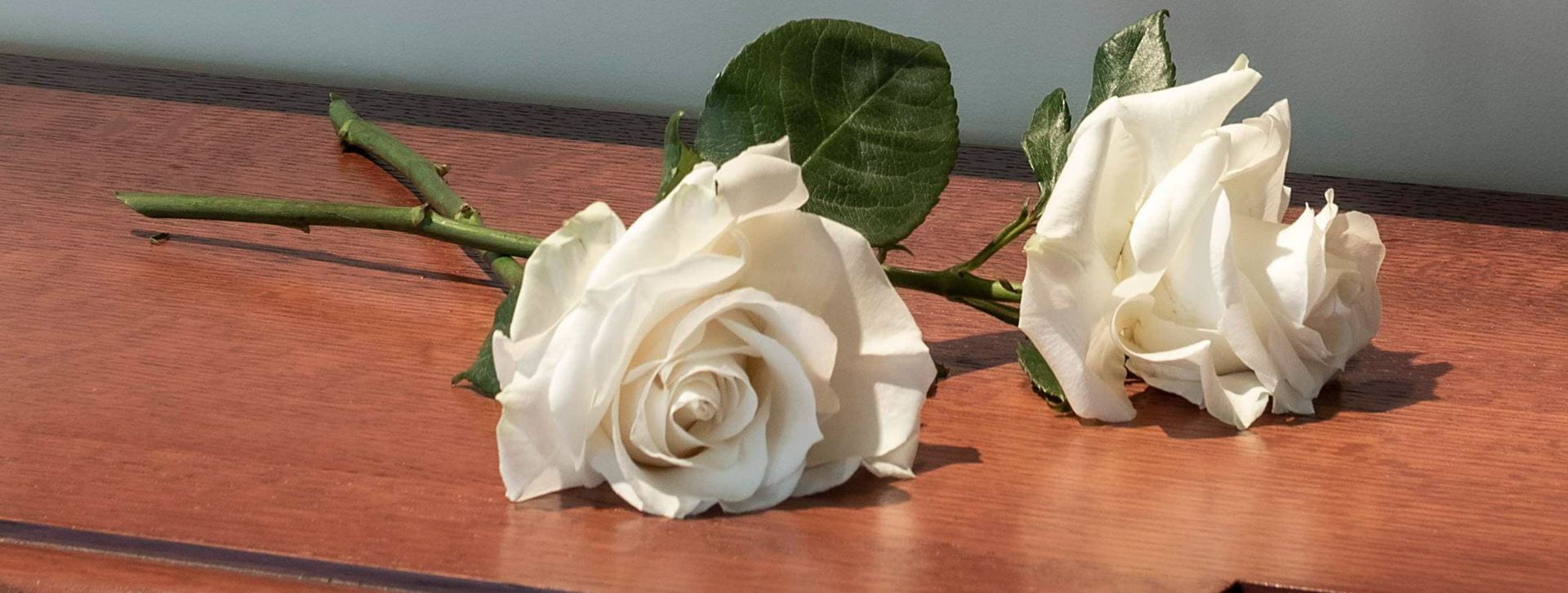 White roses for Aquinas Fire memorial plaque